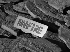 Consulenti del Giappone e dell'Indonesia in visita al NMFIRE