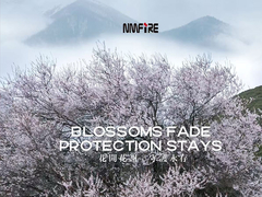 DI NMFIRE FUOCO NON DI PIÙ